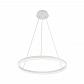 Подвесной светодиодный светильник Kink Light Тор 08214,01(4000K) - фото №1