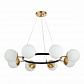 Подвесная люстра Evoluce FORLI SLE220403-08 - фото №4