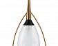 Подвесной светильник Indigo Fiore 13001/1P Black V000142 - фото №3