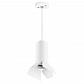 Подвесной светильник Lightstar Rullo (214486+590056+202436) RP486436 - фото №1