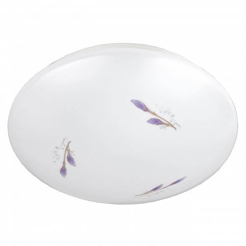Потолочный светодиодный светильник ЭРА SPB-6-10-4K Lily Б0029160