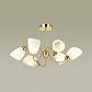 Потолочная люстра Lumion Comfi Darlene 4532/6C - фото №3
