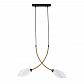 Подвесная люстра Indigo Fiore 13001/2P Black V000140 - фото №2