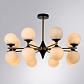 Подвесная люстра Arte Lamp Mimosa A3649PL-16PB - фото №3