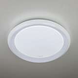 Светильник Eurosvet 40013/1 LED белый