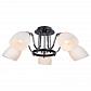 Потолочная люстра Arte Lamp Florentino A7144PL-5BK - фото №4