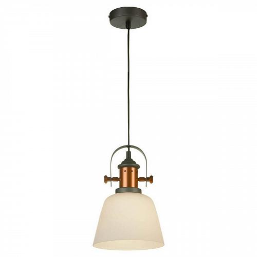 Подвесной светильник Lussole Loft GRLSP-9846