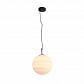 Подвесной светильник ST Luce Pallina SL344.503.01 - фото №1