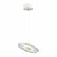 Подвесной светодиодный светильник Odeon Light Ellen 4107/12L - фото №1