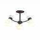 Потолочная люстра Lumion Comfi Wilma 4534/3C - фото №1