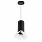 Подвесной светильник Lightstar Rullo (214487+590057+202436) RP487436 - фото №1