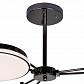 Потолочная светодиодная люстра F-Promo Ledante 2470-3P - фото №4