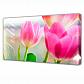 Холст Toplight Цветы 100х150х3см TL-H3015 - фото №1