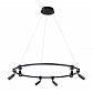 Подвесная светодиодная люстра Arte Lamp Ring A2186SP-1BK - фото №1