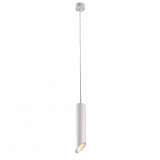 Подвесной светильник Arte Lamp Pilon-Silver A1536SP-1WH