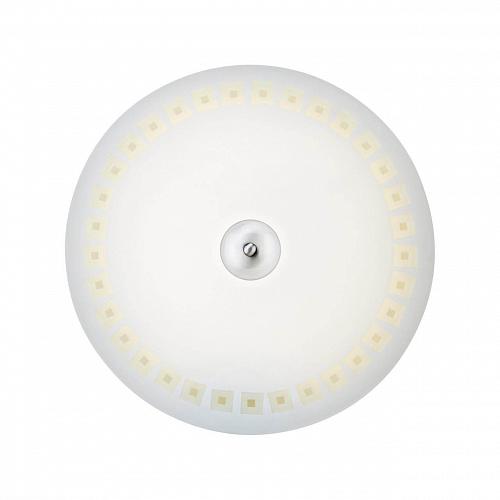 Настенно-потолочный светодиодный светильник Markslojd Adria 106411