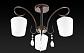 Потолочная люстра Toplight Paola TL2740X-03BC - фото №2