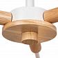 Потолочная люстра Arte Lamp Matthew A5032PL-3BR - фото №4