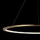 Подвесной светодиодный светильник Loft IT Ring 10014L - фото №2