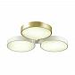 Потолочная светодиодная люстра Lumion Dilip 3646/60CL - фото №2