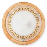 Светильник Toplight TL9173Y-02PN