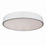 Потолочный светодиодный светильник Seven Fires Эйри 48200.50.150.77WT