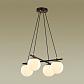 Подвесная люстра Lumion Moderni Randi 5212/4 - фото №3
