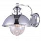 Бра Arte Lamp Nautilus A8024AP-1CC - фото №1