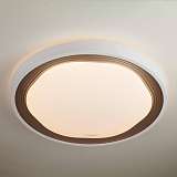 Светильник Eurosvet 40006/1 LED кофе