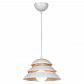 Подвесной светильник Lussole Loft Beijing GRLSP-8130 - фото №1
