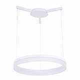 Подвесной светодиодный светильник Arte Lamp A2504SP-1WH