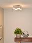 Потолочная светодиодная люстра Lucide Hana Led 26990/25/11 - фото №2