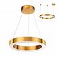 Подвесной светодиодный светильник Odeon Light L-vision Brizzi 3885/25LG - фото №1
