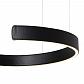 Подвесной светодиодный светильник Loft IT Ring 10025/400 Black - фото №2
