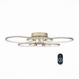 Люстра ST Luce SL867.202.06