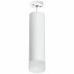 Подвесной светильник Lightstar Rullo (216496+590086+202481) RP649681 - фото №1