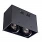 Потолочный светильник Arte Lamp Cardani A5942PL-2BK - фото №4