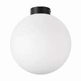 Настенно-потолочный светильник Lightstar Globo 812037