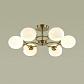 Потолочная люстра Lumion Comfi Penelopa 4549/6C - фото №3