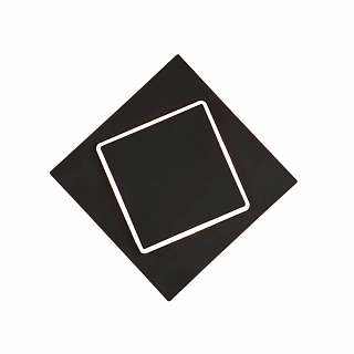 Настенно-потолочные светильники черного цвета