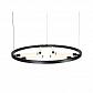 Подвесная светодиодная люстра ST Luce Bisaria SL393.403.06 - фото №2
