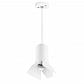 Подвесной светильник Lightstar Rullo (214436+590056+202436) RP436436 - фото №1