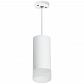 Подвесной светильник Lightstar Rullo (216486+590086+202481) RP648681 - фото №1