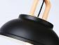 Подвесной светильник Ambrella light Traditional TR8192 - фото №2
