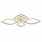 Потолочная светодиодная люстра Profit Light 8018/2+2 PGD - фото №1