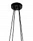 Подвесная люстра Lumien Hall Тейл 4002/4P-BK-GR - фото №4