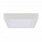 Потолочный светодиодный светильник Arte Lamp Altair A7724PL-2WH - фото №1