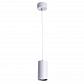 Подвесной светильник Arte Lamp Canopus A1516SP-1GY - фото №1