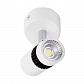 Встраиваемый спот Ambrella light Techno Led TN101/5W WH/BK - фото №1