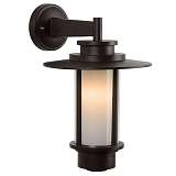 Уличный настенный светильник Lucide Goess 27841/01/43